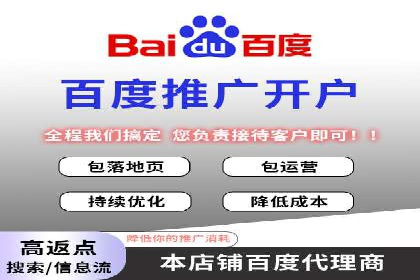 百度竞价包年推广的典型案例与效果展示